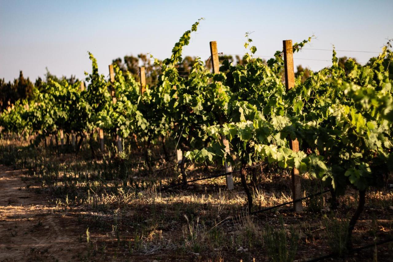 The Vineyards Bed & Breakfast Alghero Exterior photo