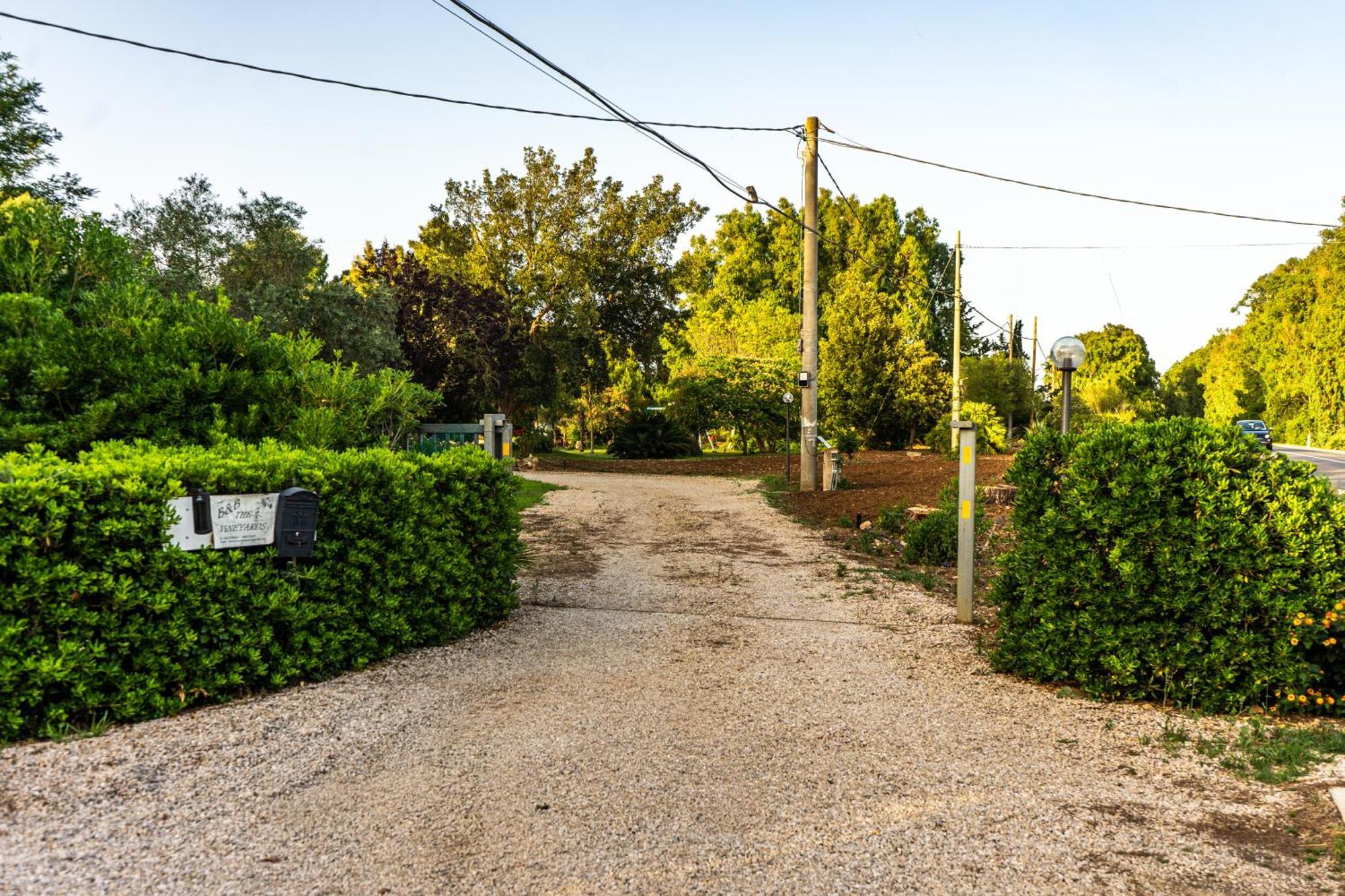 The Vineyards Bed & Breakfast Alghero Exterior photo